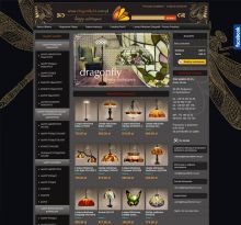 dragonfly24.com.pl